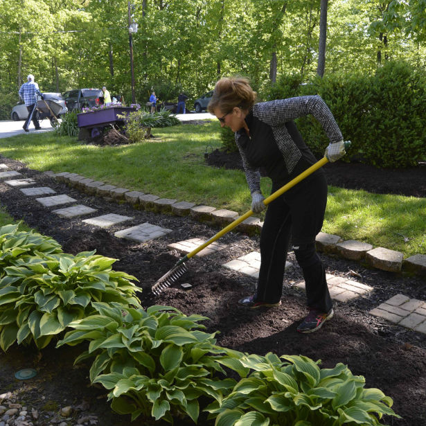 Volunteer Yard Work Project